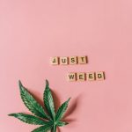 Online Cannabis Shop Prague
