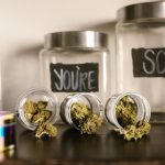 Prague THC Vape Shop – Fast Shipping & Discreet Delivery