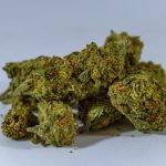 Prague is quickly becoming one of the most vibrant hubs for cannabis enthusiasts in the Czech Republic
