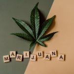Prague cannabis shop deals