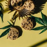 Prague has quickly become the heart of the Czech cannabis market img-1123.jpg