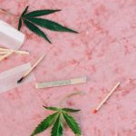 Prague Cannabis Shop: The Ultimate Guide to Cannabis in Prague
