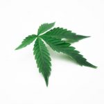 THC chocolates online store dispensary in Prague img-1184.jpg