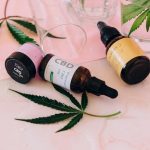 Prague Cannabis Tourism Guide