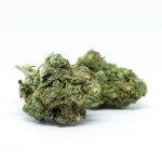 Prague Cannabis Culture Legal Landscape Buying Guide and Consumption Tips img-1217.jpg