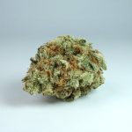 Prague’s cannabis scene is growing fast
