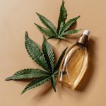 Prague Cannabis Dispensary: Premium Weed Products & Online Shop