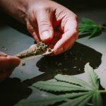 Prague Weed Delivery: How It Works