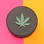 Prague Vape Shop Your Ultimate Guide to Cannabis Vaping in Prague