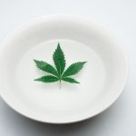 Premium Cannabis Home Delivery in Prague