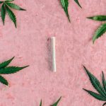 Prague Cannabis Shop: Your Guide to Buying Cannabis, Marijuana, Hemp, and THC