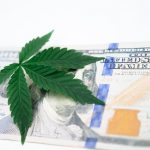 Prague Cannabis Delivery: THC Chocolates, Gummies, and Hemp Treats
