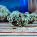 Buy Hemp Now – Fast Delivery in Prague 2024