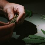 Premium THC Joint Delivery in Downtown Prague