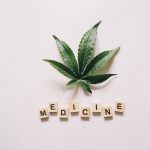 Prague Cannabis Shop: THC-Infused Chocolate Delivery