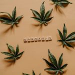 Prague Europe Vibrant Cannabis Destination