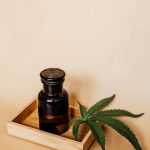 Prague Cannabis Shop: THC Chocolates, Hemp Treats, and Edibles