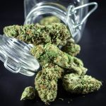 Welcome to the definitive guide for anyone looking to purchase cannabis in Prague img-185.jpg