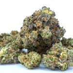 Welcome to Prague’s premier destination for high‑quality THC vapes, cannabis products, and hemp‑derived items