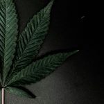 Welcome to the most convenient and reliable online cannabis store Prague has to offer img-2045.jpg