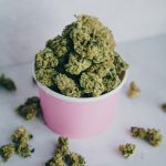 Prague Cannabis Shops: A Comprehensive Guide