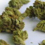 Buy THC Joints in Prague