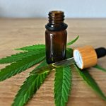 Welcome to the heart of Prague’s growing cannabis scene – a modern THC vape store that blends style, quality, and accessibility
