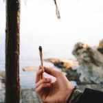 Premium THC Joints Delivered Fast in Prague