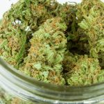 Online Vape Store in Prague – High Quality THC Vapes, Edibles, and Hemp Products