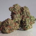 Looking for the best THC joints in the heart of the Czech Republic?