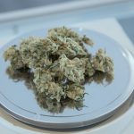 Welcome to your trusted source for high‑quality THC vape products, cannabis, marijuana, hemp, and weed in Prague