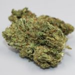 Definitive guide for anyone looking to purchase marijuana and other cannabis products in Prague