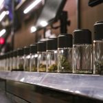Why THC Chocolate is a Must‑Try in Prague
