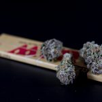 Looking for a reliable way to get high‑potency THC joints delivered straight to your doorstep in Prague? img-225.jpg