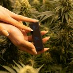 Ultimate Guide to THC Chocolate in Prague img-2278.jpg