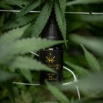 Prague’s Cannabis Scene Is Evolving Fast
