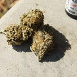 Looking for the best THC vape options in Prague?