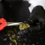 THC Joints Delivery Service in Prague