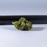 Official Cannabis Delivery Service in Prague