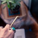 Looking for the best Prague cannabis deals and THC joint discounts