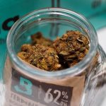 Welcome to the premier hemp supplier online shop in Prague img-2403.jpg