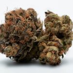 Welcome to the premier destination for THC chocolate and all things cannabis in the heart of Prague img-2457.jpg