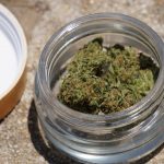 Prague Cannabis Delivery