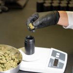 Fast and Discreet Cannabis Delivery in Prague