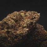 Looking for a reliable way to get high‑quality cannabis, marijuana, hemp, or THC products to your doorstep in Prague?