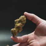 Welcome to the premier destination for THC vape enthusiasts in Prague
