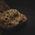Welcome to the most reliable and affordable cannabis destination in the heart of the Czech Republic