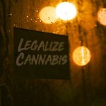 Prague Hemp Market: Your Guide to Hemp and Cannabis Products img-2569.jpg