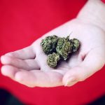 Welcome to the ultimate destination for THC chocolate online in Prague