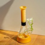 Why Prague is the Ideal Destination for Cannabis Enthusiasts img-2590.jpg